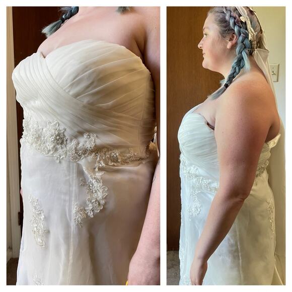 Private Label by G wedding gown bridal - Picture 7 of 16